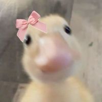 צליל מקורי