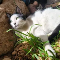 original sound - alexxxc999