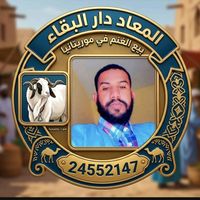 2205alimedsalek