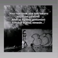 nzlldd06
