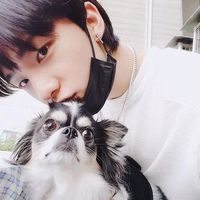 kiwi._skz