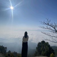 samira.g71