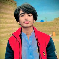 wali_hassani