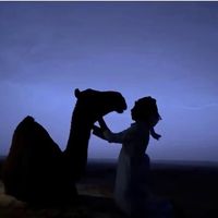 الصوت الأصلي