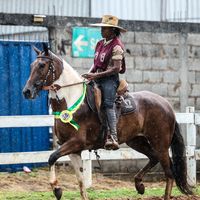 pequena.da.pecuar