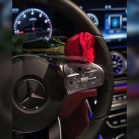 _.alikhann1100