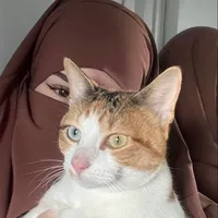 original sound - wareesha_fatima