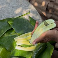nhạc nền - Bùi Tuân