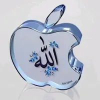 original sound - ham___tum