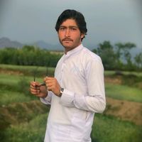 junaid.ali.104