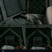 user4496886028395