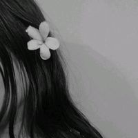 sofia.xx237