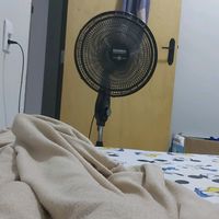 luan.firmino84