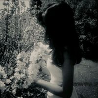 _lyra.x_