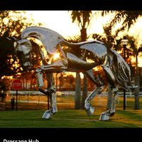 dressagehub_official