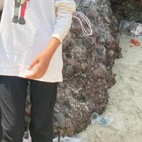 original sound - qiss09_.1