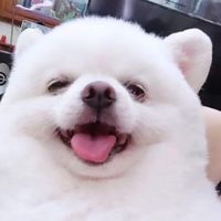 nhạc nền - Người để tâm