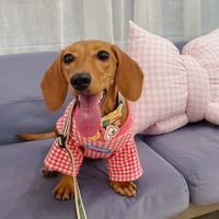 ginger.thedach