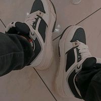 falconibt22
