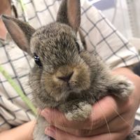 オリジナル楽曲 - K