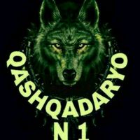 qashqadaryo7762