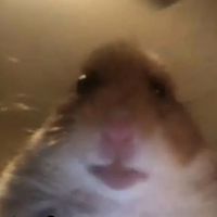 nhạc nền - Biết buồn. 🥀