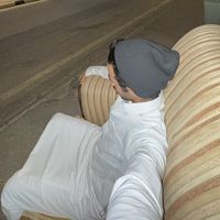 الصوت الأصلي