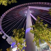 lifestyleinmanchester