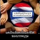 kooksave112