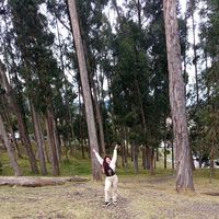ysa_0701