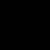 r0r0.305