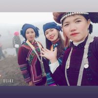 nhạc nền