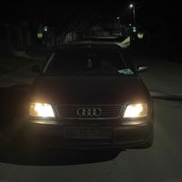 carp_506