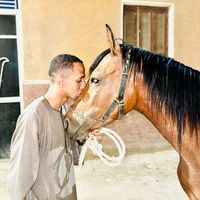 youssef_mahmoud99