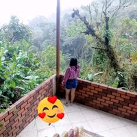 yulissa.palomino8