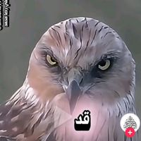 liwaxalertajifo