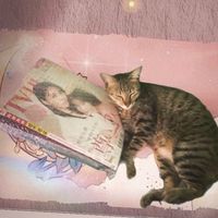 nhạc nền - Áo Khoác Tám Chẹo Của Sama