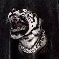 ankhi.13