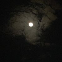 nf_az_