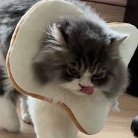 kkhaoppun