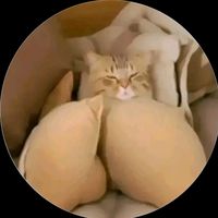 david_py31