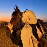 dareen.mhareb