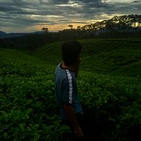 relansaputra1