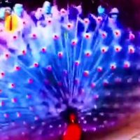 original sound - ဒေါင်းနီ