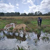 caceria_y_pesca_valdivia