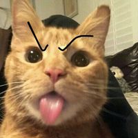 original sound - Edward.