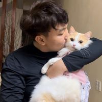 nhạc nền - Mộng Si