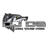 suara asli - DJ DS ONTHEMIX