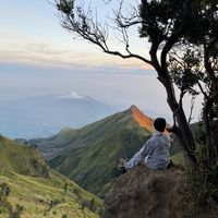 syacant_k