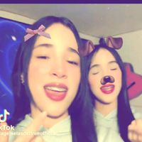 fans_.de_roytwins